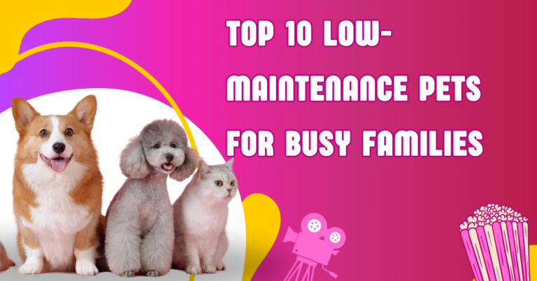 Top 10 Low-Maintenance Pets for Busy Families